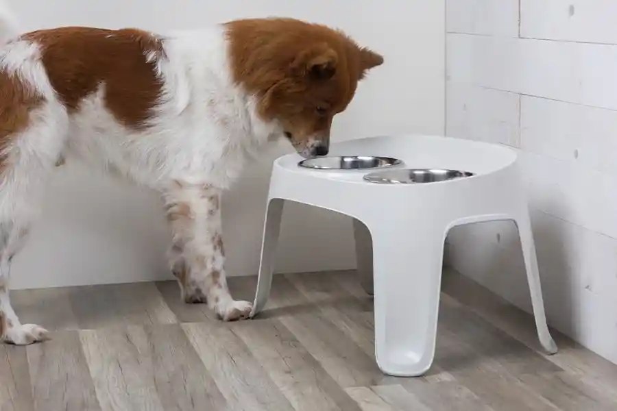 מעמד סקיי-בר  1800 מ"ל