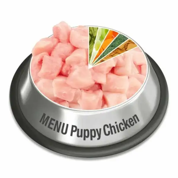 מזון רטוב לכלב פלטינום PLATINUM גורים עוף וירקות מזון רטוב לכלב פלטינום PLATINUM גורים עוף וירקות