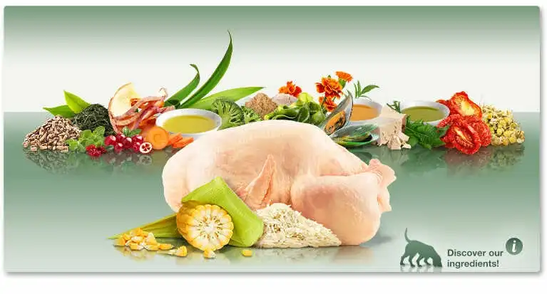 מזון לכלבים מבוגרים פלטינום PLATINUM עוף ואורז מזון לכלבים מבוגרים פלטינום PLATINUM עוף ואורז