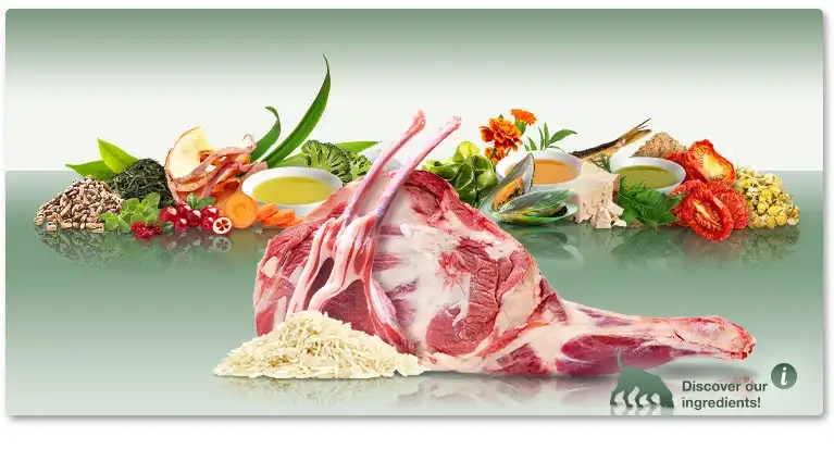 מזון לכלבים פלטינום PLATINUM בוגר כבש ואורז מזון לכלבים פלטינום PLATINUM בוגר כבש ואורז