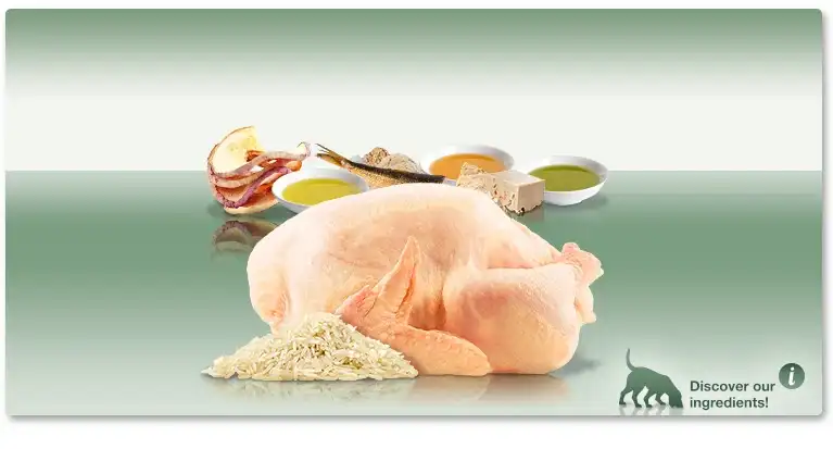 אוכל לכלבים פלטינום PLATINUM גורים עוף ואורז אוכל לכלבים פלטינום PLATINUM גורים עוף ואורז