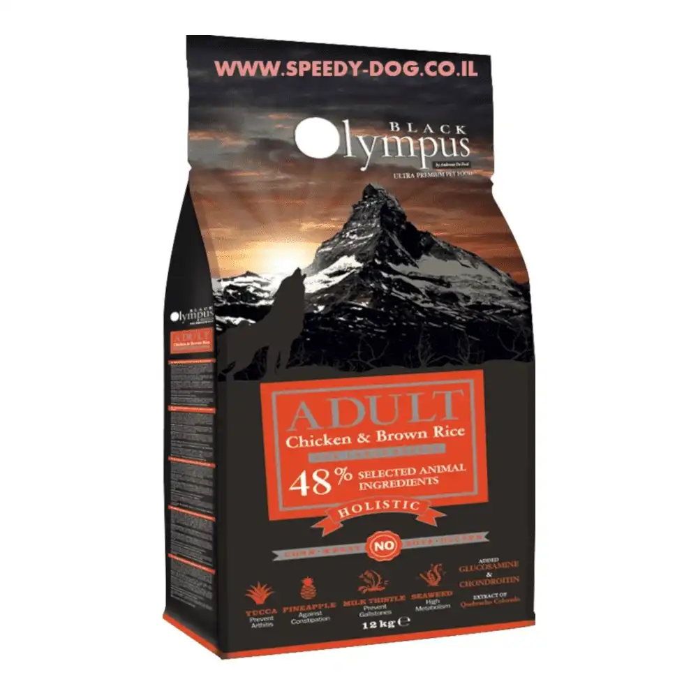 בלאק אולימפוס BLACK OLYMPUS בוגר גזע גדול עוף בלאק אולימפוס BLACK OLYMPUS בוגר גזע גדול עוף
