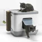 ארגז צרכים סגור לחתול מודרנה MODERNA סמארט