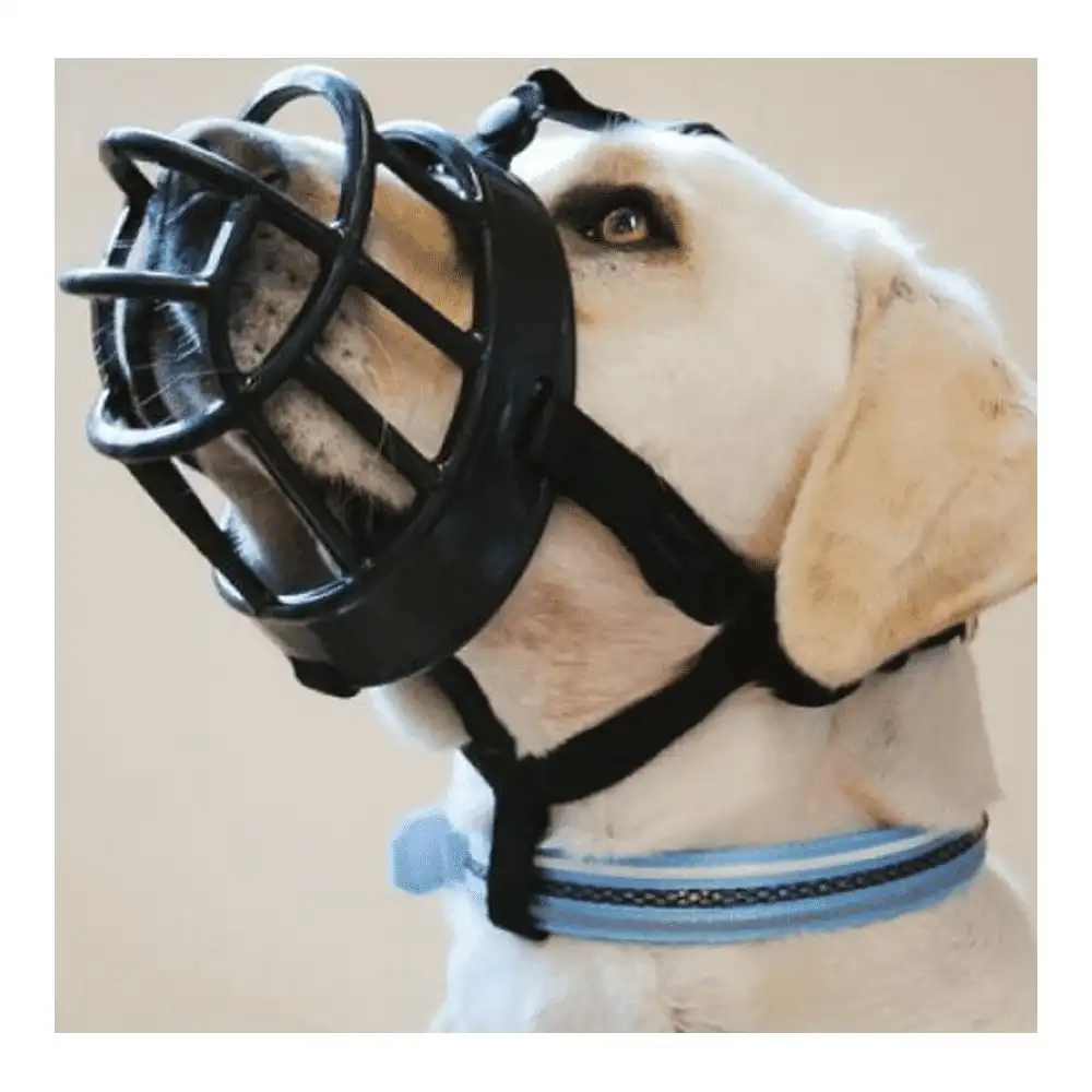 בסקרוויל BASKERVILLE - מחסום איכותי לכלב בסקרוויל BASKERVILLE - מחסום איכותי לכלב