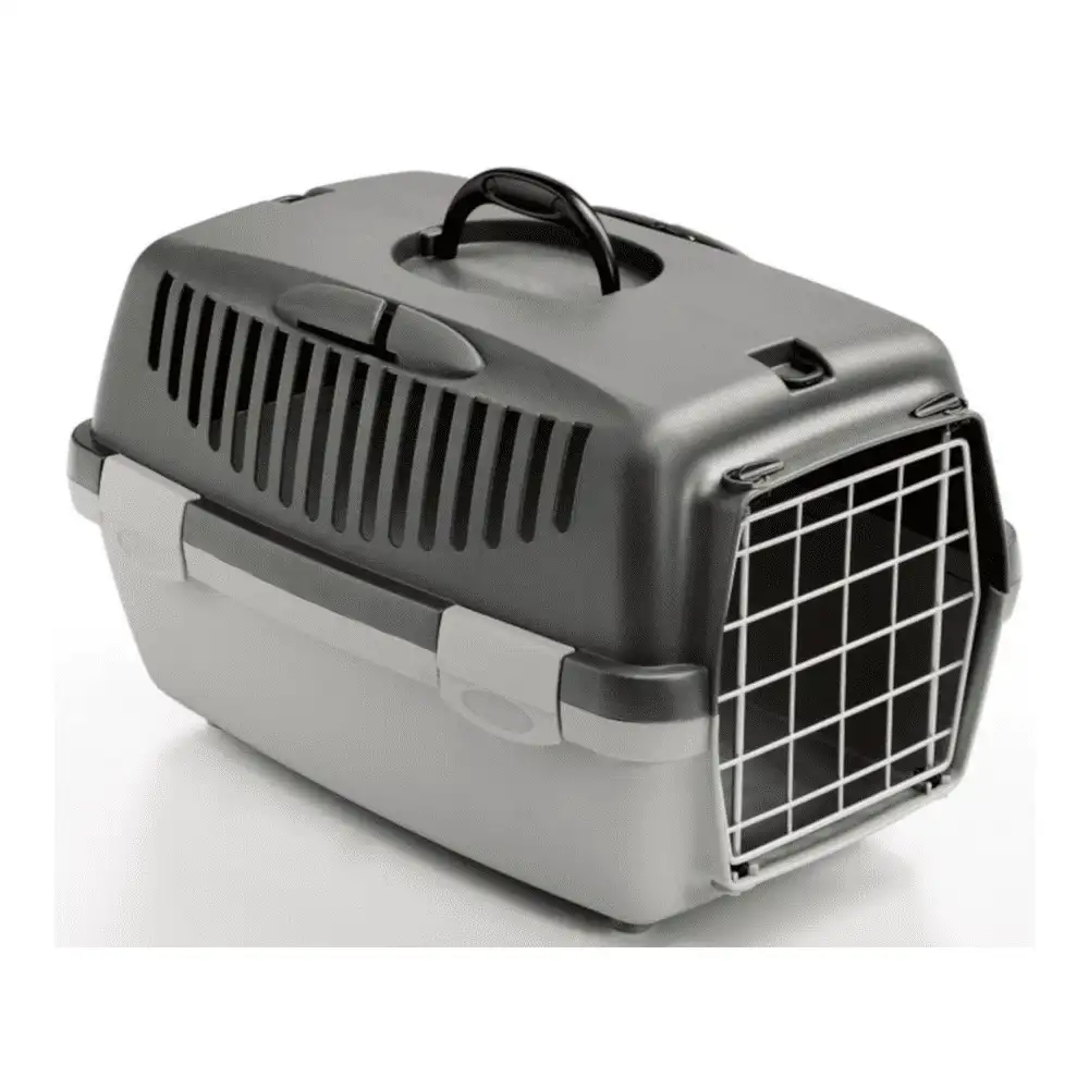 כלוב הטסה / נשיאה גוליבר 1