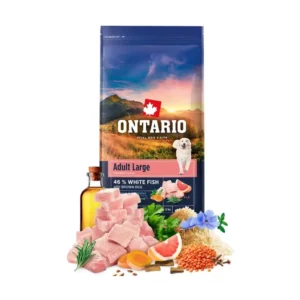 אונטריו ONTARIO בוגר גזע גדול דגים ואורז