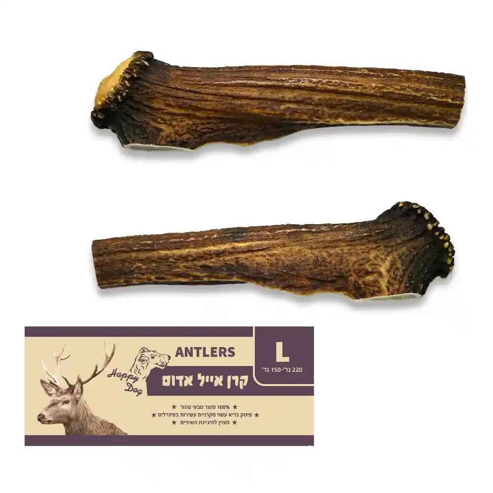 קרן אייל אדום שלמה L  סיווג AA