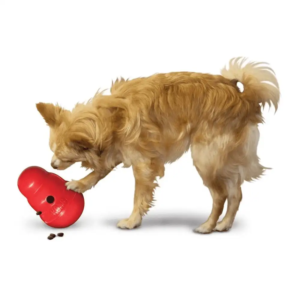 קונג וובלר KONG Wobbler קונג וובלר KONG Wobbler