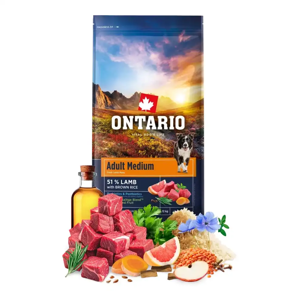 אוכל כלבים אונטריו ONTARIO בוגר גזע בינוני כבש ואורז אוכל כלבים אונטריו ONTARIO בוגר גזע בינוני כבש ואורז