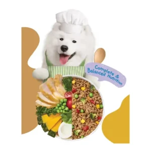 אוכל רטוב לכלבים מוצ‘י Moochie עוף, בטטה וסופר פוד