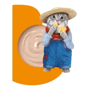 חטיף שלוק מוצ‘י Moochie טונה וגבינה