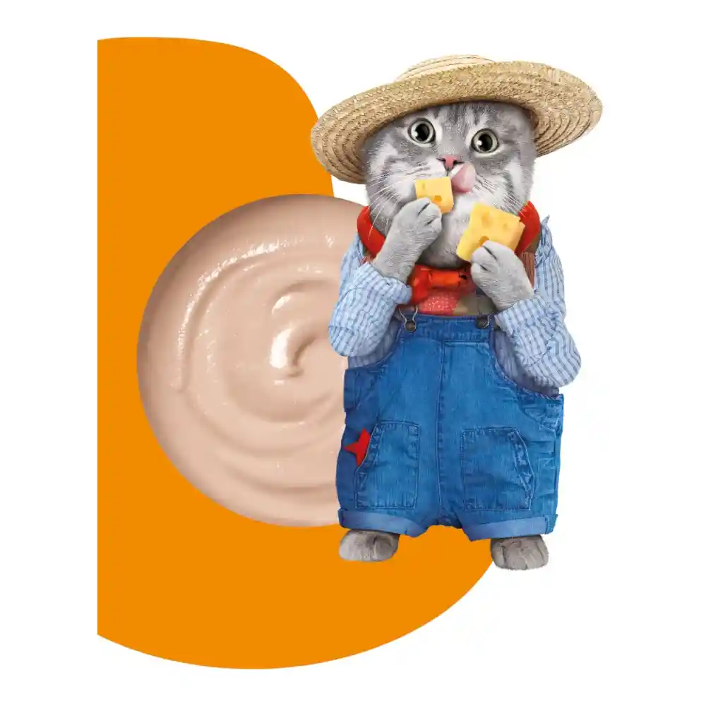 חטיף שלוק מוצ‘י Moochie טונה וגבינה