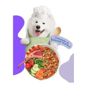 אוכל רטוב לכלבים מוצ‘י Moochie כבש וסלמון