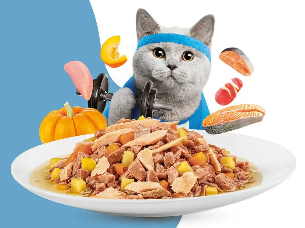 מעדן לייט לחתולים מוצ‘י – MOOCHIE עוף וסלמון מעדן לייט לחתולים מוצ‘י – MOOCHIE עוף וסלמון