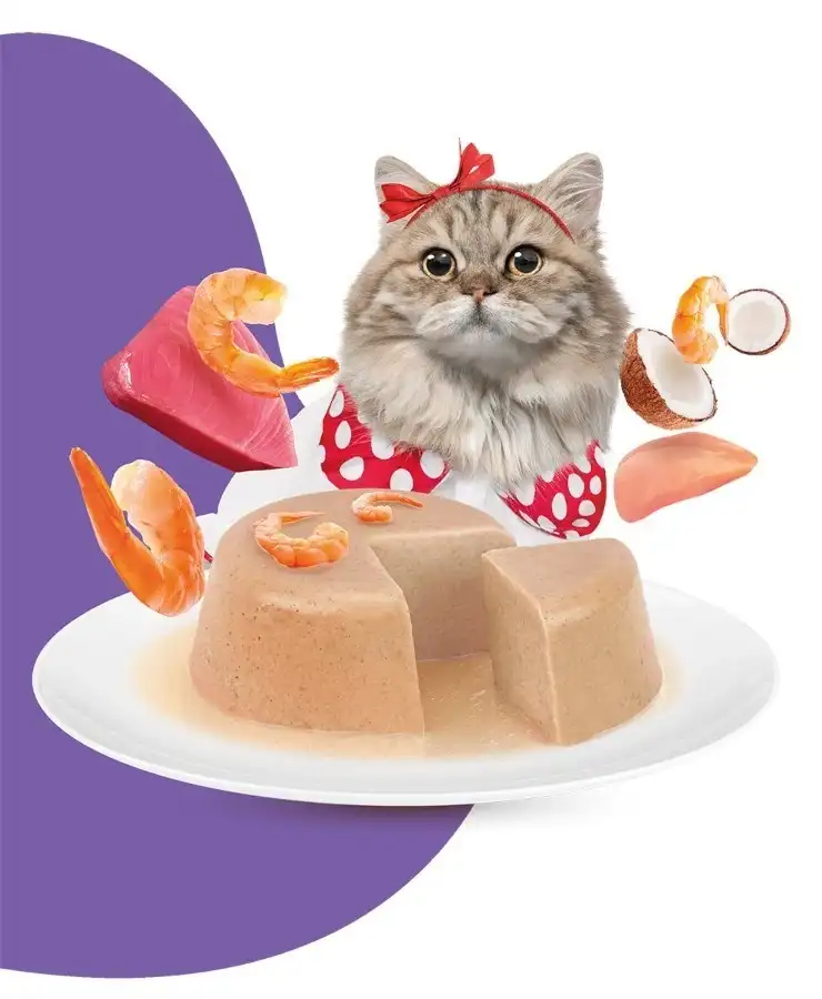 מעדן לחתול מוצ‘י – MOOCHIE טונה ועוף היירבול מעדן לחתול מוצ‘י – MOOCHIE טונה ועוף היירבול