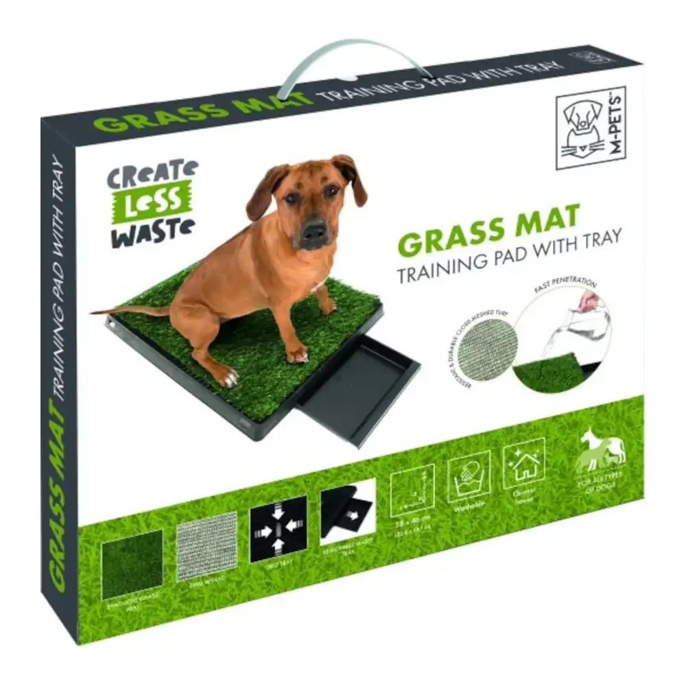 משטח דשא לאימון גורי כלבים