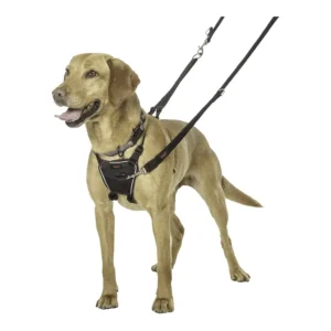 הלטי נון פול HALTI NON PULL