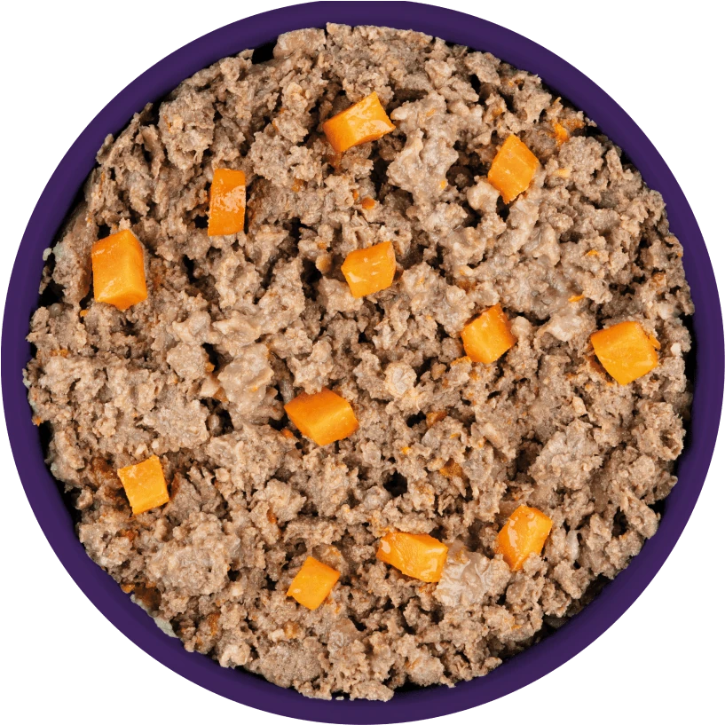 מזון כלבים נטסבי Natsbi עוף וכבש