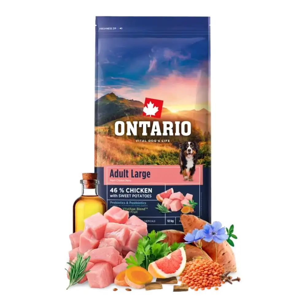 מזון לכלבים אונטריו ONTARIO בוגר עוף ובטטה לגזע גדול מזון לכלבים אונטריו ONTARIO בוגר עוף ובטטה לגזע גדול