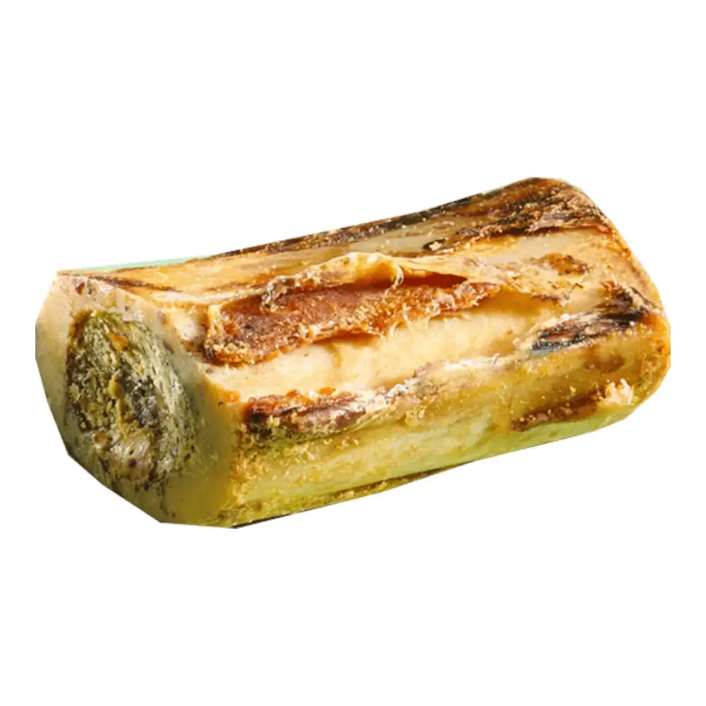 עצם בקר צלוייה