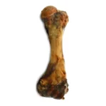 עצם פורקי לכלב