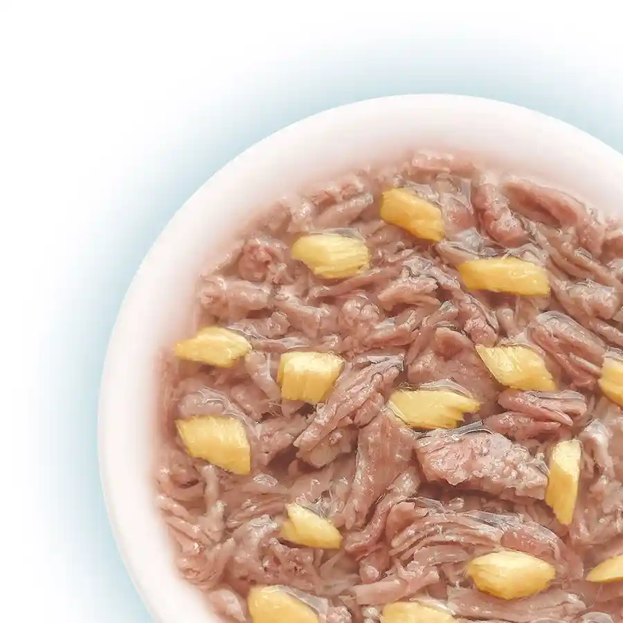 מעדן לחתול קאט פסט Cat Fest נתחי ברווז וסלמון בג‘לי מעדן לחתול קאט פסט Cat Fest נתחי ברווז וסלמון בג‘לי