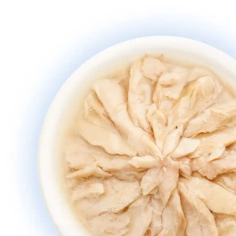 מעדן לחתול קאט פסט Cat Fest נתחי טונה בג‘לי מעדן לחתול קאט פסט Cat Fest נתחי טונה בג‘לי