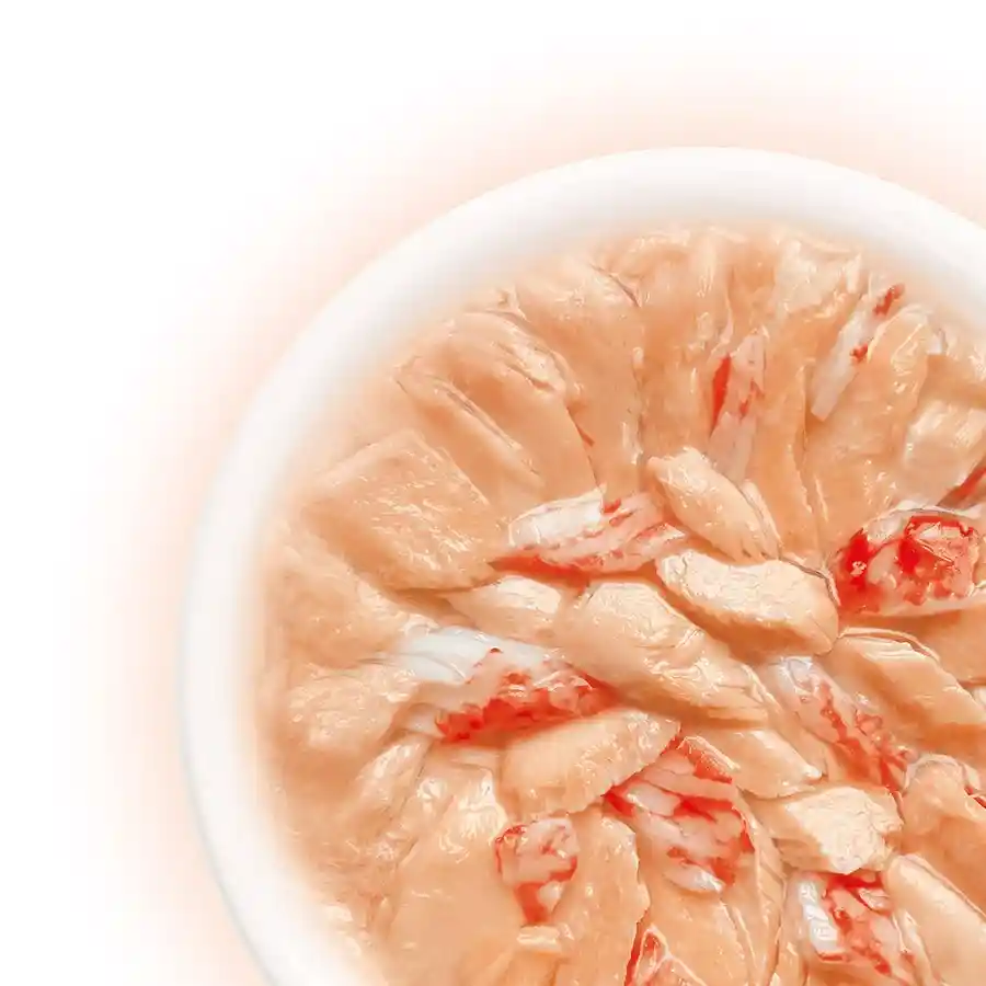 מעדן לחתול קאט פסט Cat Fest נתחי סלמון וסרטנים בג‘לי מעדן לחתול קאט פסט Cat Fest נתחי סלמון וסרטנים בג‘לי