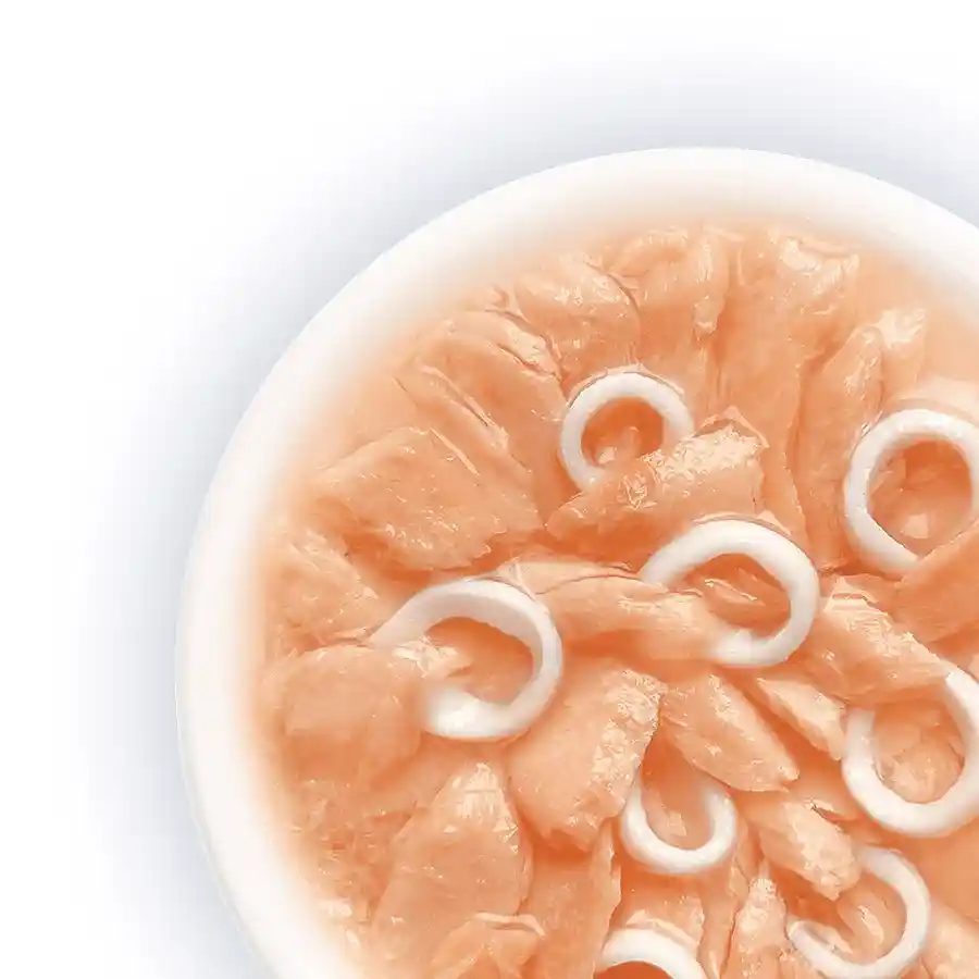 מעדן לחתול קאט פסט Cat Fest נתחי סלמון וקלמרי בג‘לי מעדן לחתול קאט פסט Cat Fest נתחי סלמון וקלמרי בג‘לי