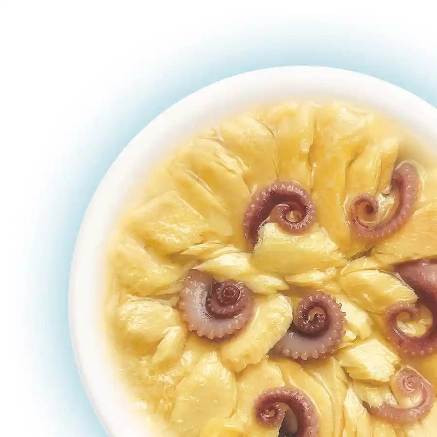 מעדן לחתול קאט פסט Cat Fest נתחי סלמון ותמנון בג‘לי מעדן לחתול קאט פסט Cat Fest נתחי סלמון ותמנון בג‘לי