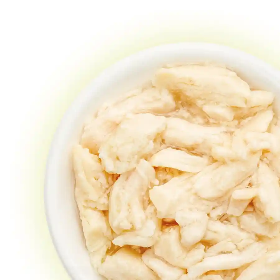 מעדן לחתול קאט פסט Cat Fest נתחי עוף בג‘לי מעדן לחתול קאט פסט Cat Fest נתחי עוף בג‘לי