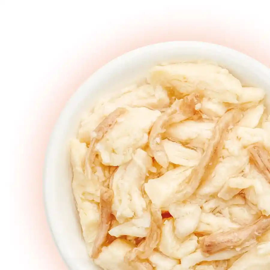 מעדן לחתול קאט פסט Cat Fest נתחי עוף וברווז בג‘לי מעדן לחתול קאט פסט Cat Fest נתחי עוף וברווז בג‘לי