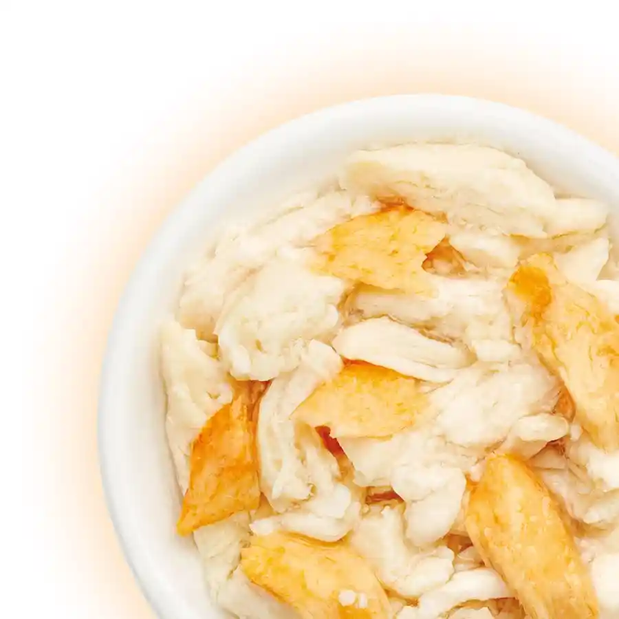 מעדן קאט פסט Cat Fest נתחי עוף וסלמון בג‘לי מעדן קאט פסט Cat Fest נתחי עוף וסלמון בג‘לי