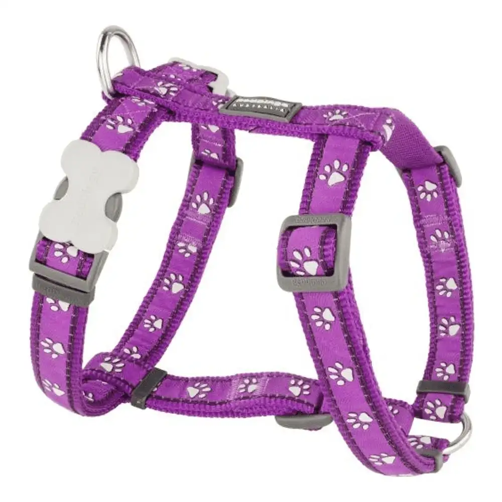 רתמה לכלב רד דינגו  RED DINGO סגול עקבות