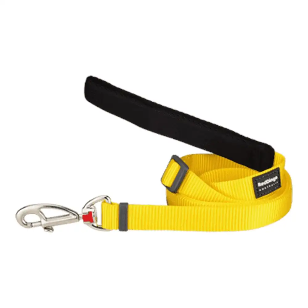 רצועה לכלב רד דינגו RED DINGO צהוב חלק