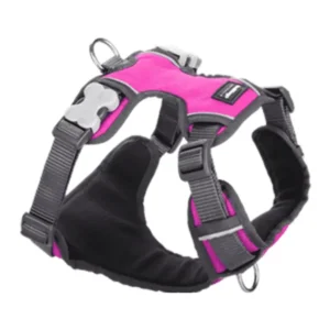 רתמה מקצועית לכלב רד דינגו RED DINGO ורוד כהה