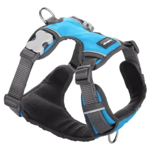 רתמה מקצועית לכלב רד דינגו RED DINGO כחול