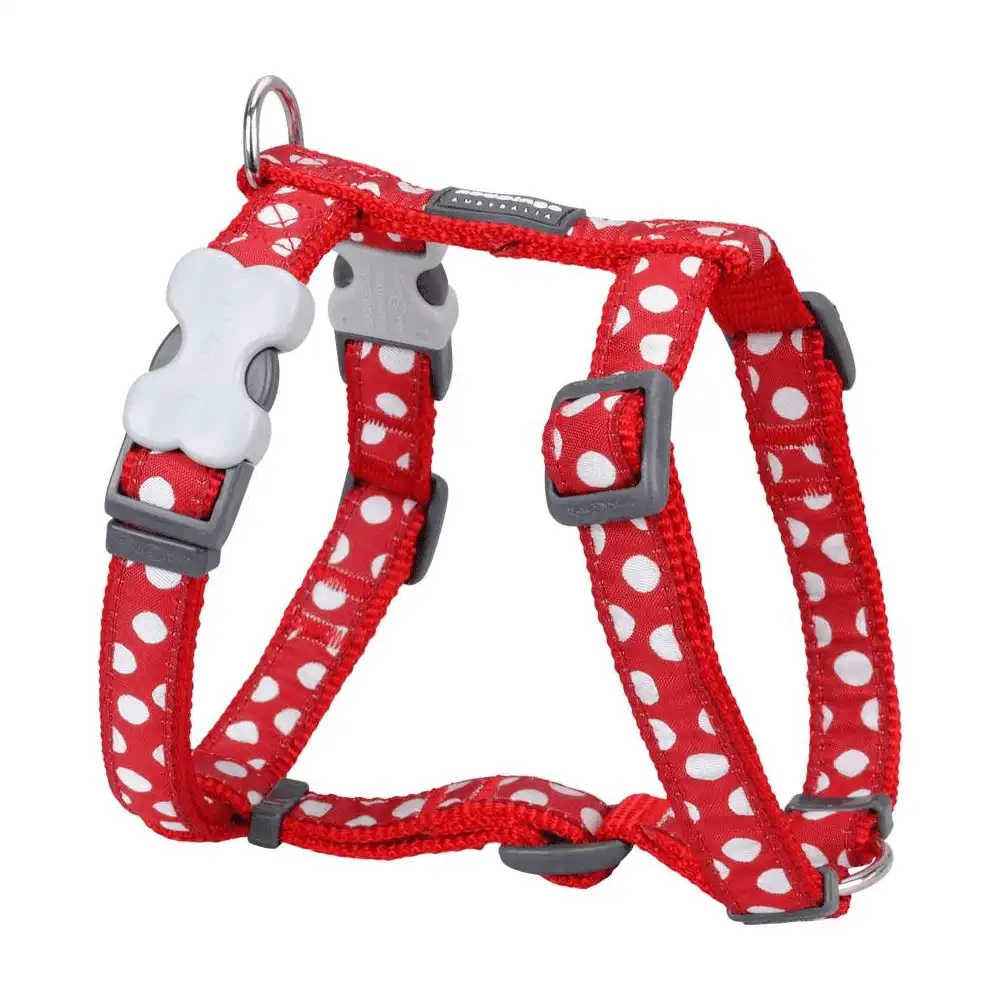 רתמה לכלב רד דינגו  RED DINGO אדום נקודות