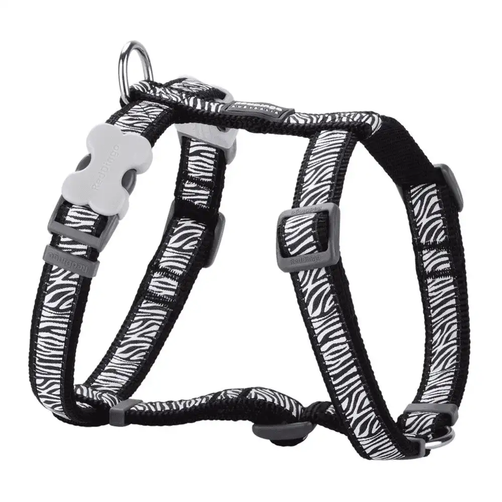 רתמה לכלב רד דינגו  RED DINGO שחור ספארי