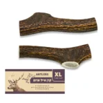 עצם קרן אייל אדום