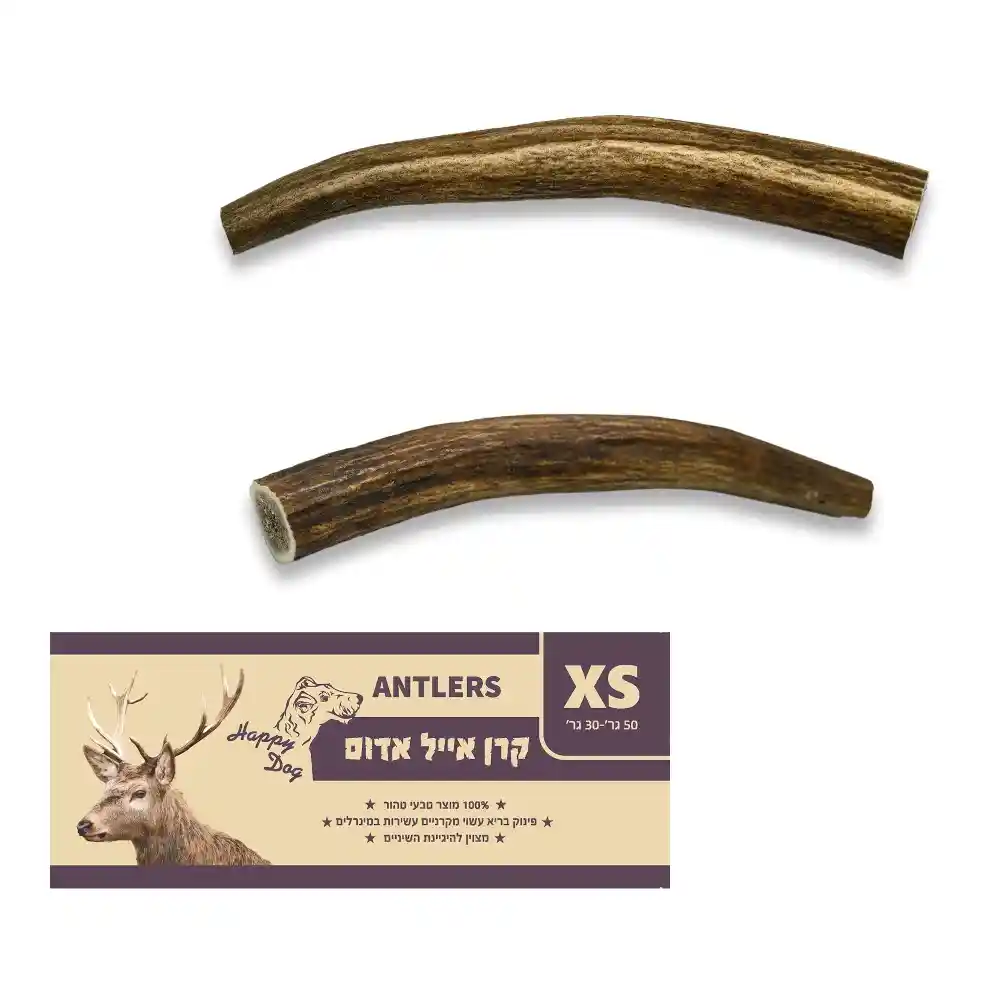 קרן אייל אדום שלמה XS  סיווג AA