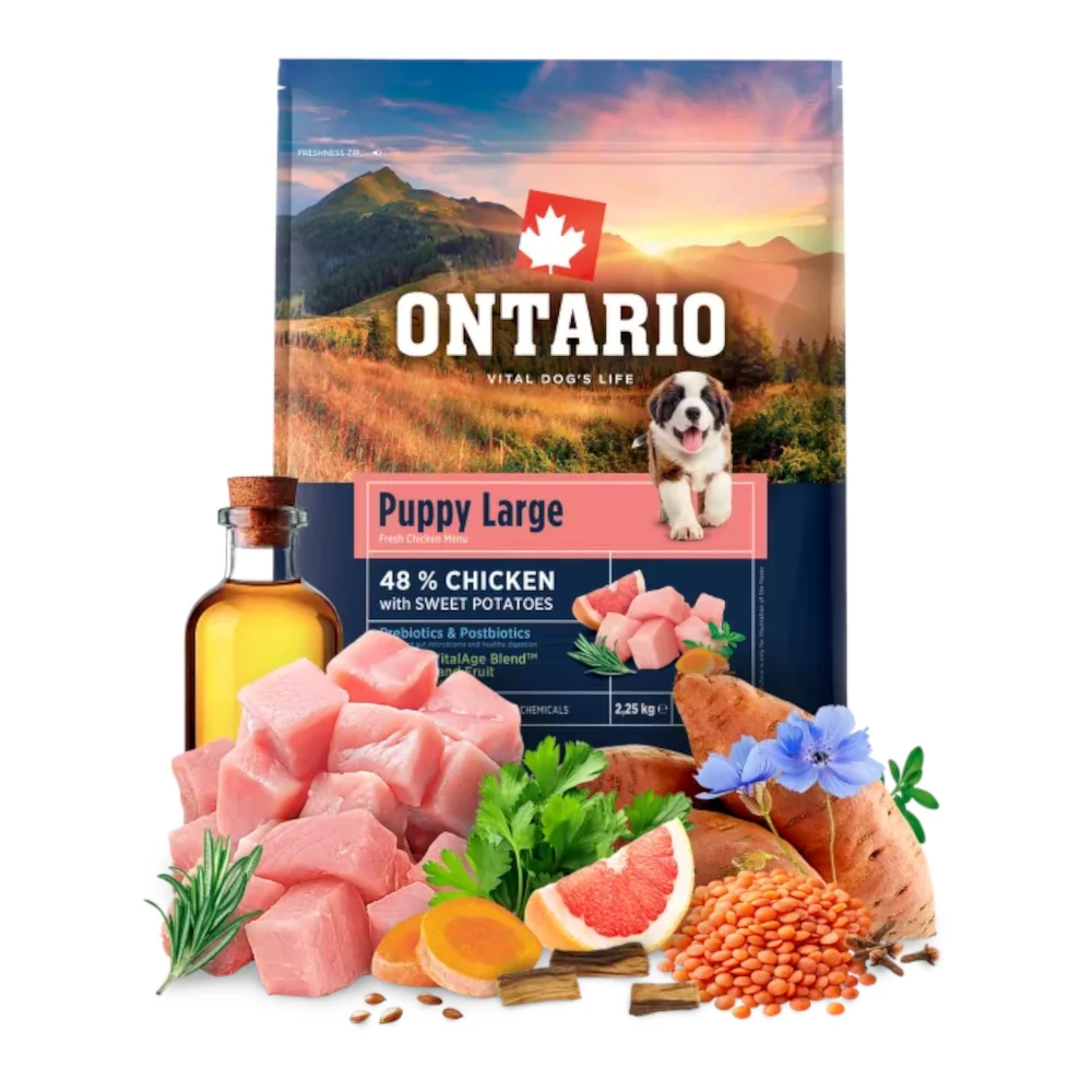 מזון לגורים גזע גדול אונטריו ONTARIO עוף ובטטה מזון לגורים גזע גדול אונטריו ONTARIO עוף ובטטה